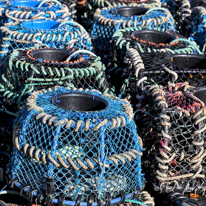 <strong>Couleurs des Ports #475 - Saint-Guénolé (Penmarc'h) | 29</strong> <small>© Rémy SALAÜN</small>