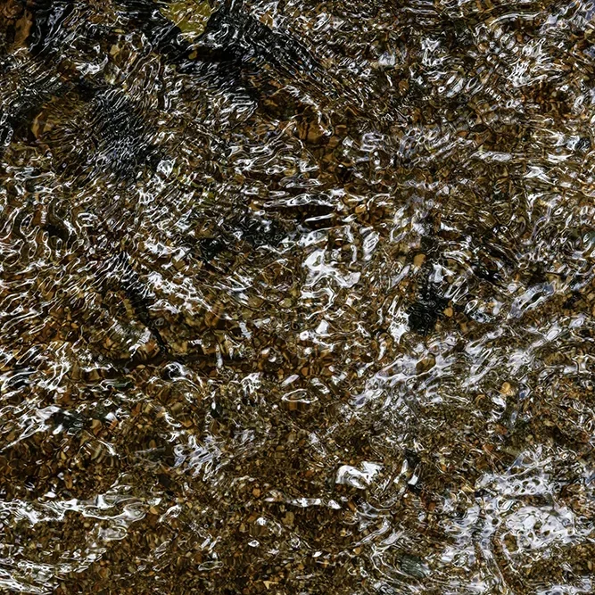 <strong>Fluides #2491 - </strong> <small>© Rémy SALAÜN</small>