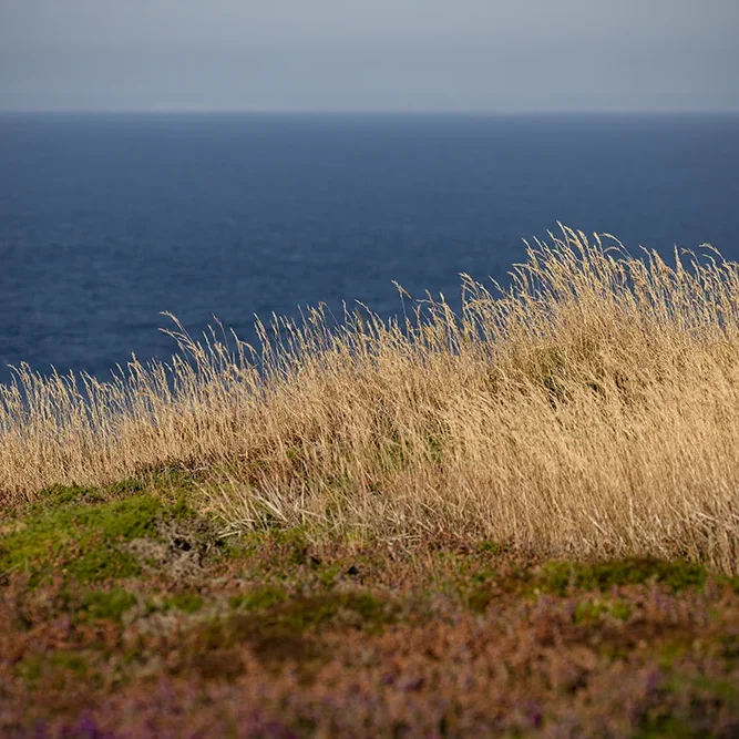 <strong>Vue Sur Mer #730</strong> <small>© Rémy SALAÜN</small>