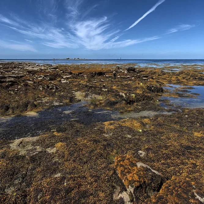 <strong>Vue Sur Mer #550</strong> <small>© Rémy SALAÜN</small>