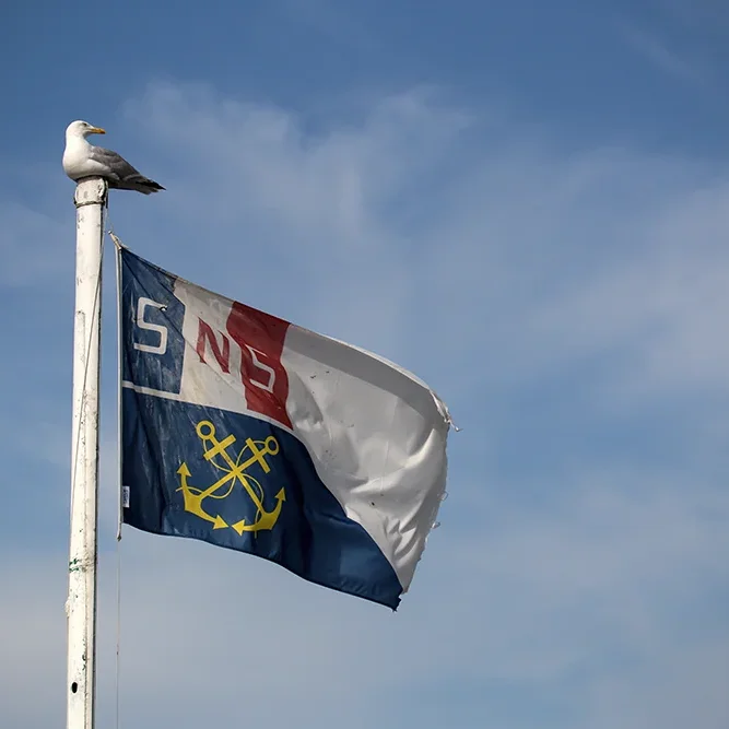 <strong>Sur les Quais #747 - Saint-Guénolé (Penmarc'h) | 29</strong> <small>© Rémy SALAÜN</small>