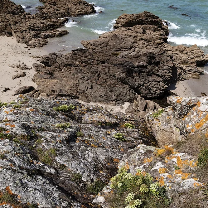 <strong>Vue Sur Mer #2584 - Lancieux | 22</strong> <small>© Rémy SALAÜN</small>