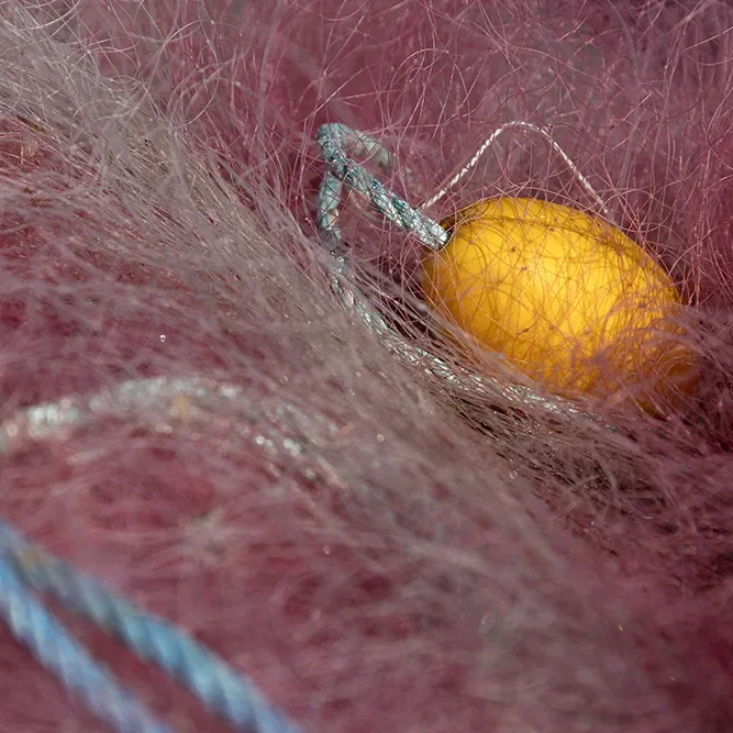 <strong>Couleurs des Ports #479 - Granville | 50</strong> <small>© Rémy SALAÜN</small>