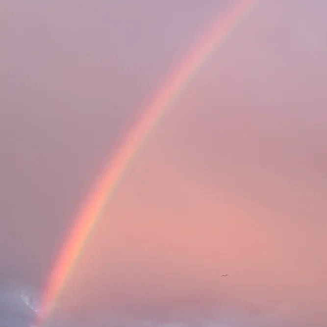 <strong>Sur les Quais #1631 - Brest | 29</strong> <small>© Rémy SALAÜN</small>