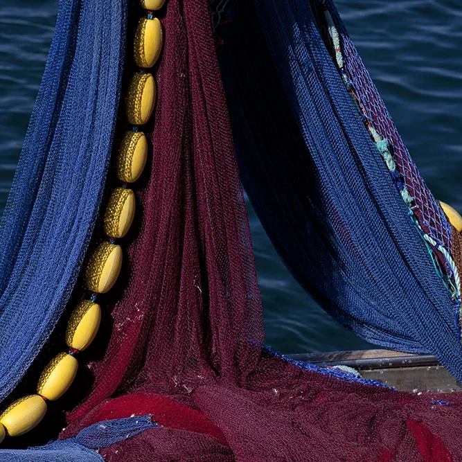 <strong>Couleurs des Ports #458 - Douarnenez | 29</strong> <small>© Rémy SALAÜN</small>