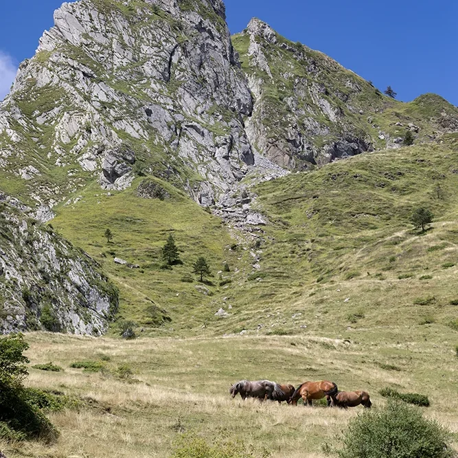 <strong>Paysages #2600 - Lescun | 64</strong> <small>© Rémy SALAÜN</small>