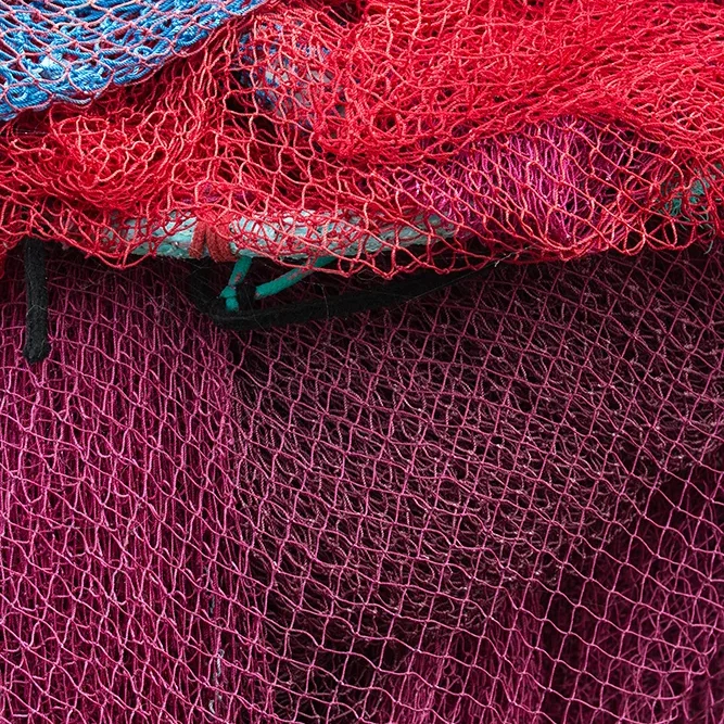 <strong>Couleurs des Ports #429 - Saint-Guénolé (Penmarc'h) | 29</strong> <small>© Rémy SALAÜN</small>