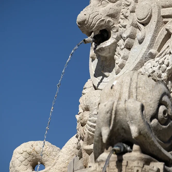 <strong>Fluides #2512 - </strong> <small>© Rémy SALAÜN</small>