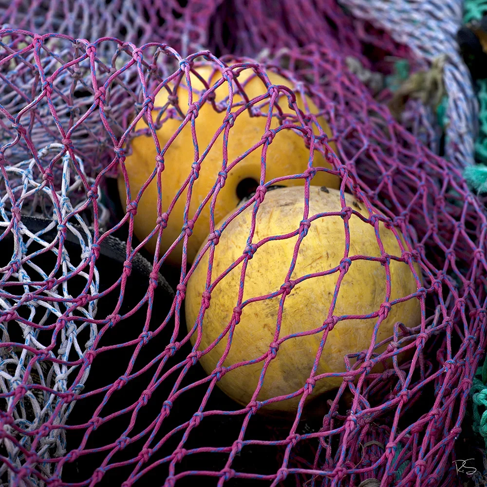 <strong>Couleurs des Ports #469 - Le Guilvinec | 29</strong> <small>© Rémy SALAÜN</small>