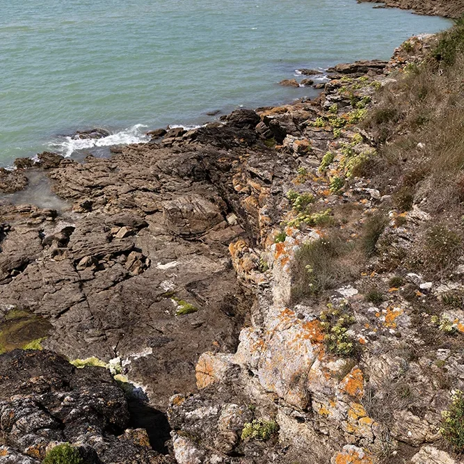 <strong>Vue Sur Mer #2585 - Lancieux | 22</strong> <small>© Rémy SALAÜN</small>