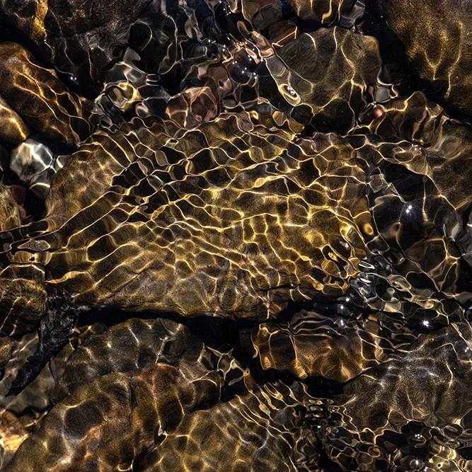 <strong>Fluides #2462 - </strong> <small>© Rémy SALAÜN</small>