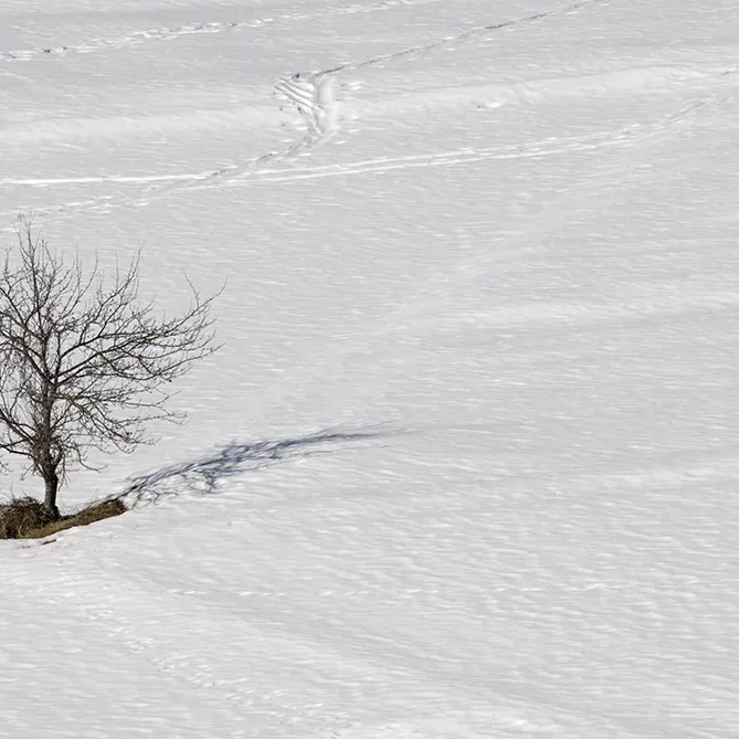 <strong>Paysages #2109</strong> <small>© Rémy SALAÜN</small>