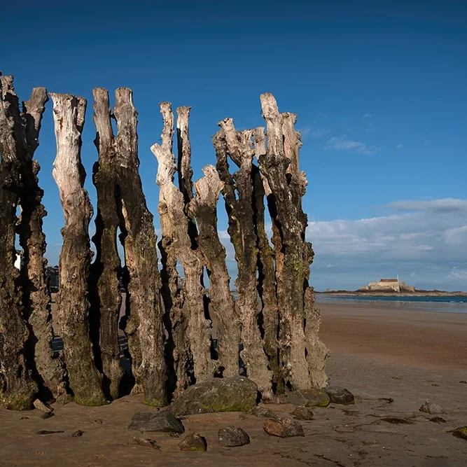 <strong>Vue Sur Mer #676</strong> <small>© Rémy SALAÜN</small>