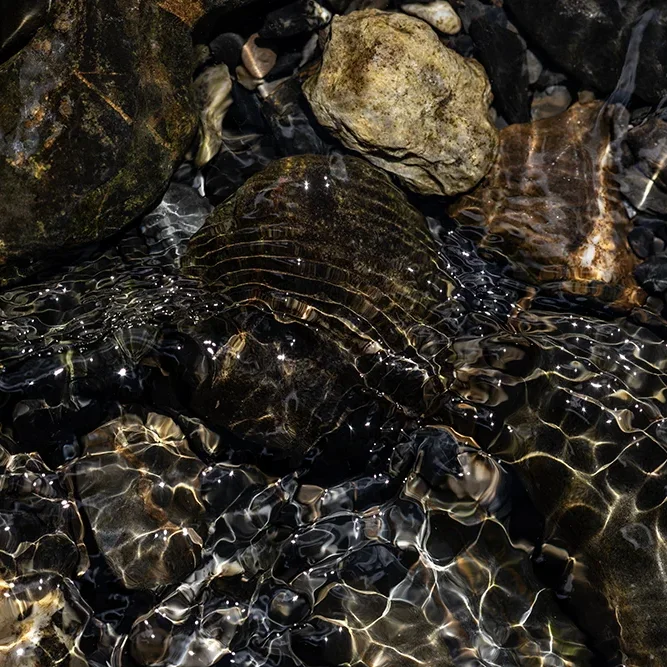 <strong>Fluides #2433 - </strong> <small>© Rémy SALAÜN</small>