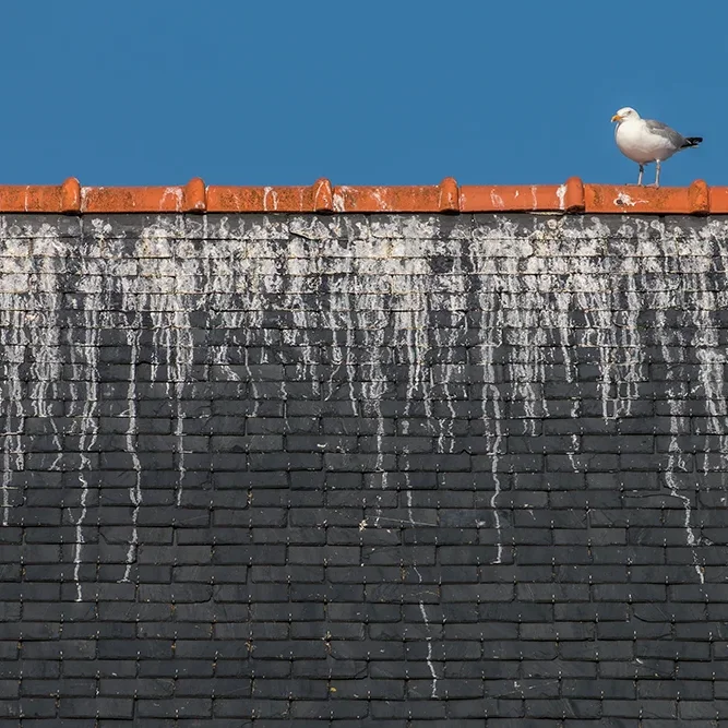 <strong>Sur les Quais #748 - Saint-Guénolé (Penmarc'h) | 29</strong> <small>© Rémy SALAÜN</small>