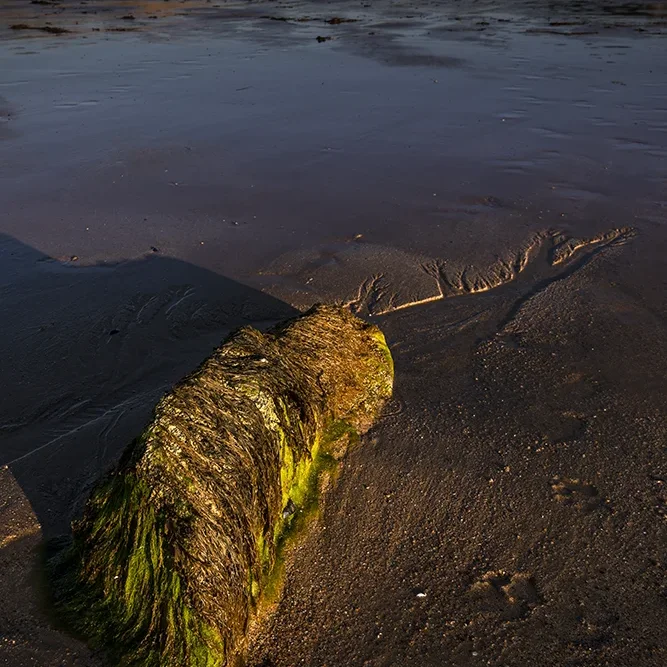 <strong>Vue Sur Mer #723</strong> <small>© Rémy SALAÜN</small>