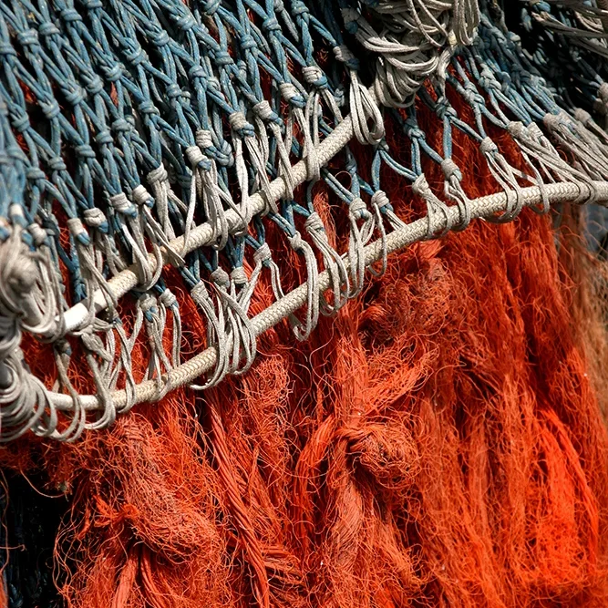 <strong>Couleurs des Ports #466 - Le Guilvinec | 29</strong> <small>© Rémy SALAÜN</small>