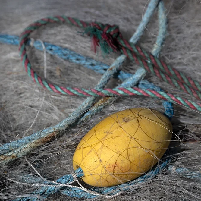 <strong>Couleurs des Ports #478 - Granville | 50</strong> <small>© Rémy SALAÜN</small>